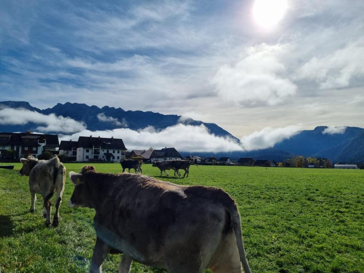 Urlaub Am Bauernhof Bei Familie Steinbrecher باد ميترندورف المظهر الخارجي الصورة