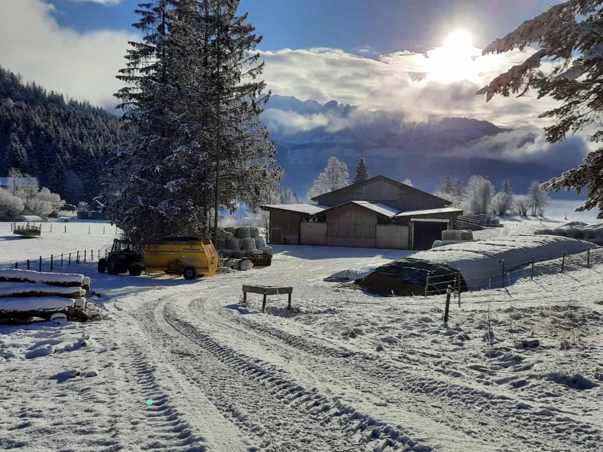 Urlaub Am Bauernhof Bei Familie Steinbrecher باد ميترندورف المظهر الخارجي الصورة